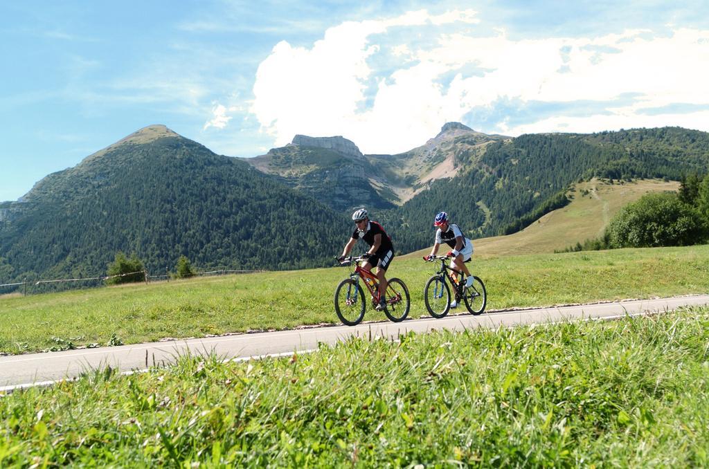 Hotel Dolomiti Chalet Vason Buitenkant foto