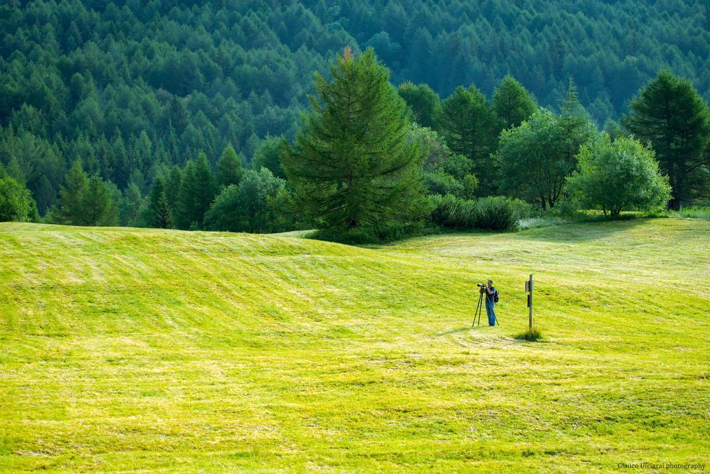 Hotel Dolomiti Chalet Vason Buitenkant foto